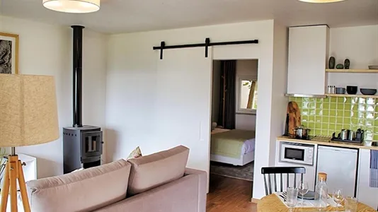 Houses in Fundão - photo 8