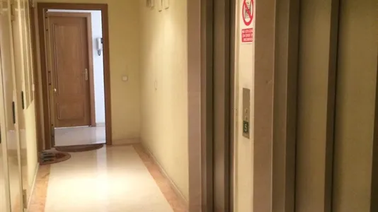 Rooms in la Punta - photo 7