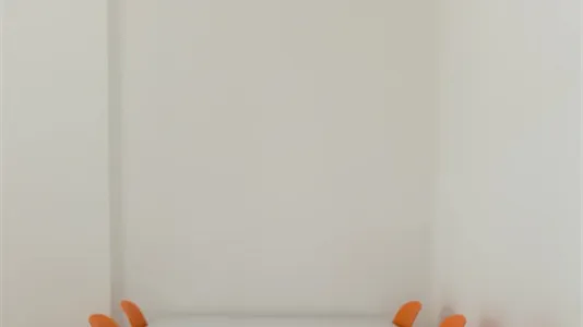 Rooms in Turin - photo 8