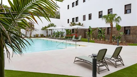 Rooms in Murcia - photo 10