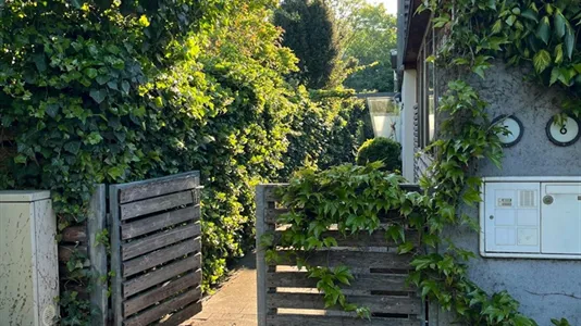 Rooms in Maria Enzersdorf - photo 10