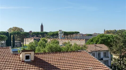Rooms in Pisa - photo 4