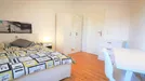 Room for rent, Bonn, Nordrhein-Westfalen, Lessingstraße, Germany