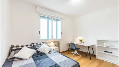 Room for rent in Padua, Veneto