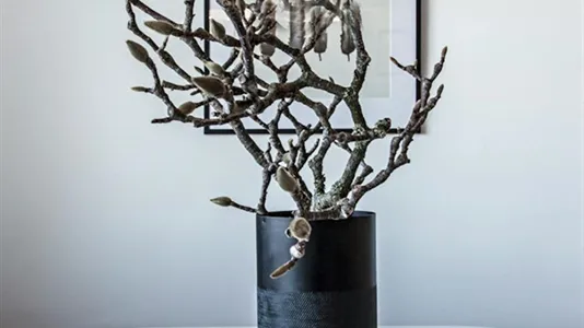 Apartments in Dusseldorf - photo 5