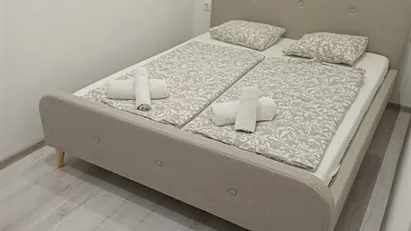 Apartment for rent in Budapest Erzsébetváros, Budapest