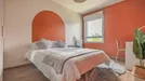 Room for rent, Bordeaux, Nouvelle-Aquitaine, Sente Marie Galante, France
