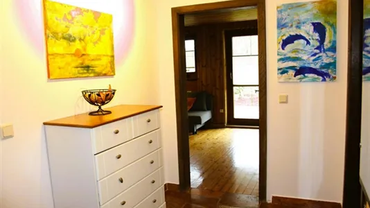 Apartments in Koppl - photo 4