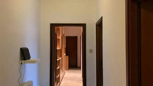 Rooms in Bologna - photo 8