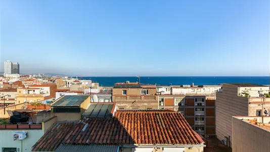 Apartments in Barcelona Ciutat Vella - photo 8