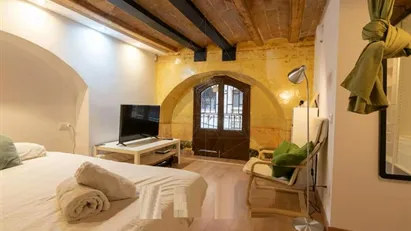 Apartment for rent in Barcelona Ciutat Vella, Barcelona
