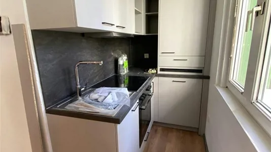 Apartments in Bad Fischau-Brunn - photo 3