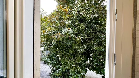 Apartments in Padua - photo 9