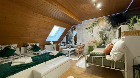 Apartments in Groß-Gerau - photo 6