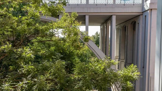 Rooms in Madrid Arganzuela - photo 5