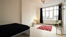 Room for rent, Charleroi, Henegouwen, Rue Zénobe Gramme, Belgium