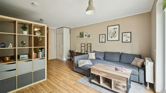 Apartments in Dresden - photo 2