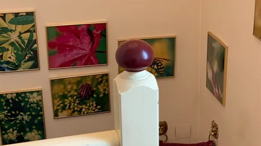 Houses in Vienna Döbling - photo 6