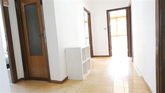 Rooms in Sassari - photo 8