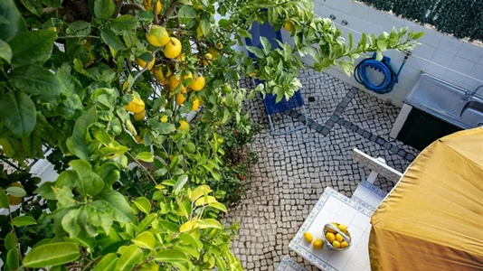 Houses in Location is not specified - photo 7