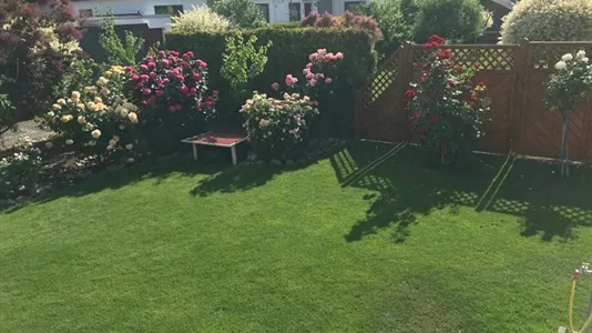 Rooms in Berlin Neukölln - photo 7