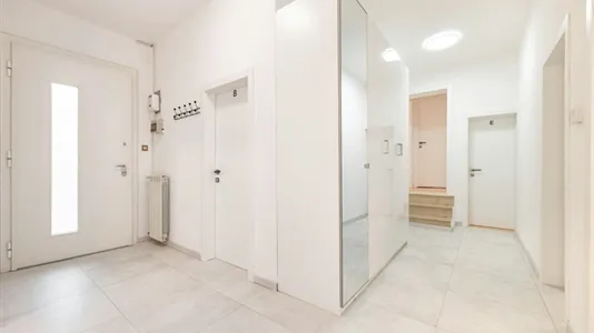 Rooms in Padua - photo 9