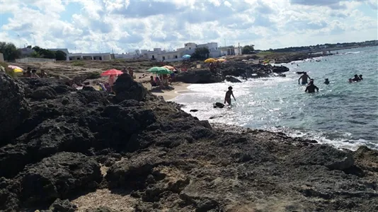 Houses in Taviano - photo 1