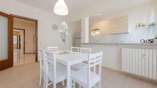 Rooms in Padua - photo 7