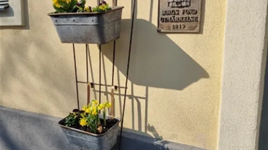 Apartments in Ystad - photo 13