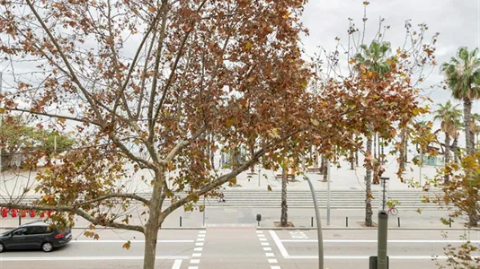 Apartments in Barcelona Ciutat Vella - photo 10