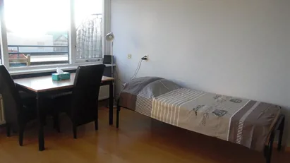 Room for rent in Leiden, South Holland