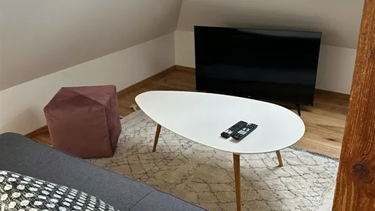 Apartments in Graz - photo 6