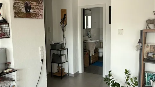 Apartments in Konstanz - photo 3