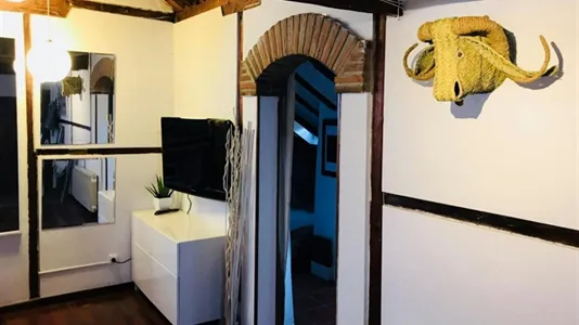 Apartments in Madrid Centro - photo 4