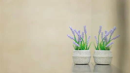 Apartments in Hoče-Slivnica - photo 6