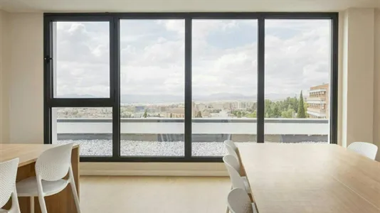 Apartments in Granada - photo 10