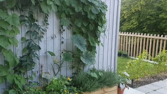 Houses in Malmö City - photo 15