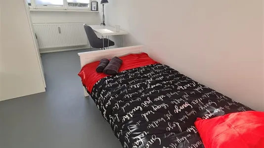 Rooms in Bonn - photo 9