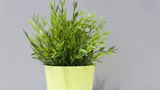 Rooms in Milano Zona 1 - Centro storico - photo 7