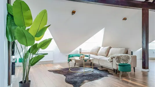 Apartments in Braunschweig - photo 5