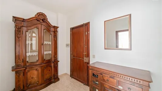 Rooms in Roma Municipio VII – Appio-Latino/Tuscolano/Cinecittà - photo 9