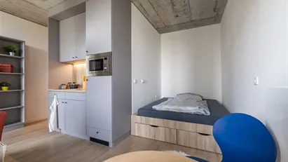 Apartment for rent in Vienna Landstraße, Vienna