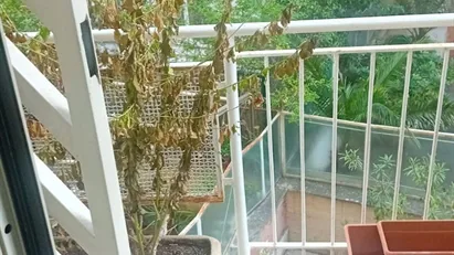 Room for rent in Roma Municipio XII – Monte Verde, Rome