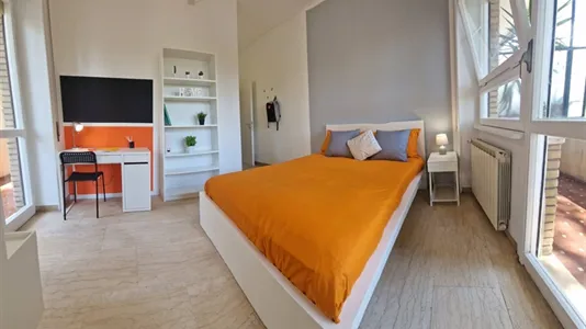 Rooms in Roma Municipio VIII – Appia Antica - photo 5