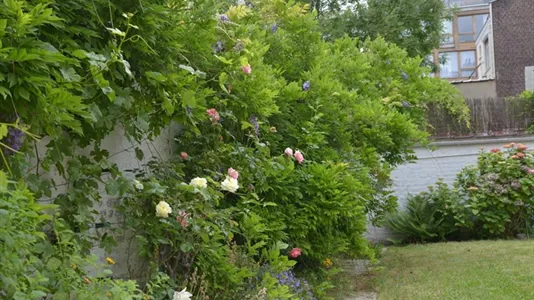 Rooms in Stad Brussel - photo 9