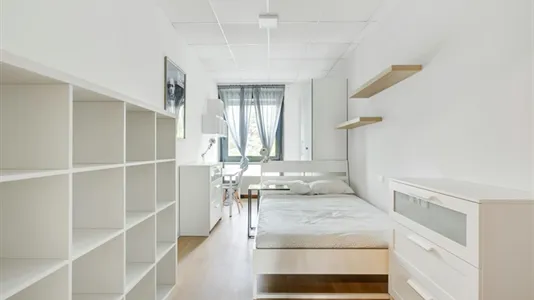 Rooms in Milano Zona 3 - Porta Venezia, Città Studi, Lambrate - photo 1