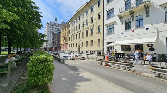 Apartments in Besnica - photo 10