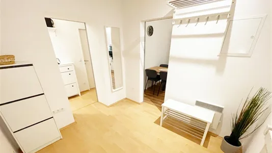 Rooms in Wien Neubau - photo 10