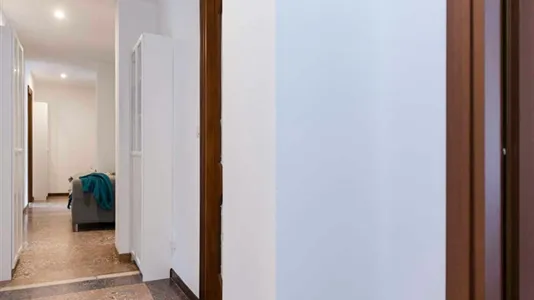 Rooms in Bologna - photo 9