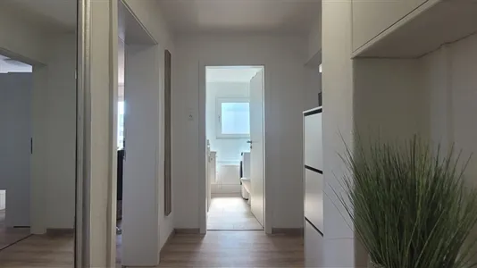 Apartments in Braunschweig - photo 6